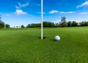 golf sahalari