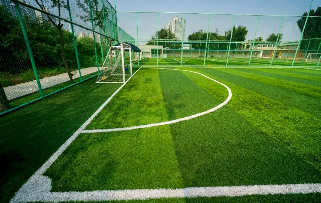 hali saha yuksekligi[]