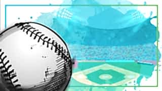 beyzbol sahalari 1 son 1