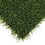 001 power grass suni cim 768x768 1