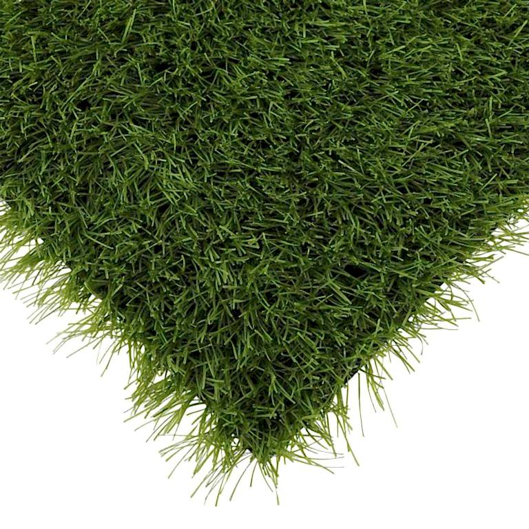 001 power grass suni cim 768x768 1