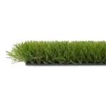 002 power grass suni cim 768x768 1