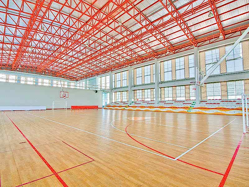 05parke cok amacli saha