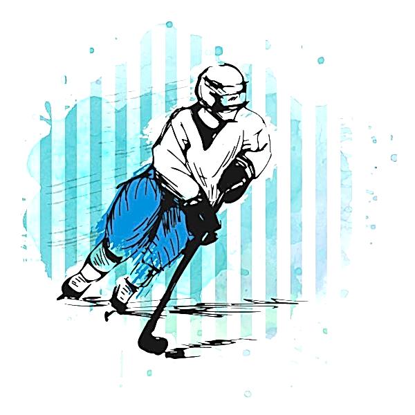 hockey sahalari 4 son