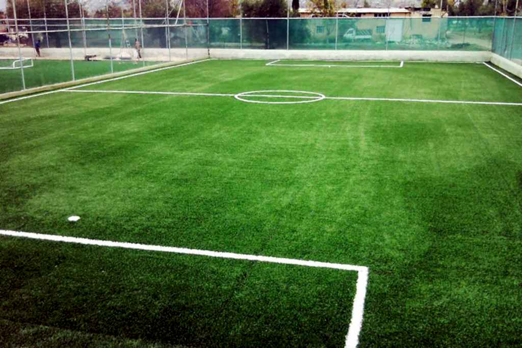 sam adawi hali saha 1