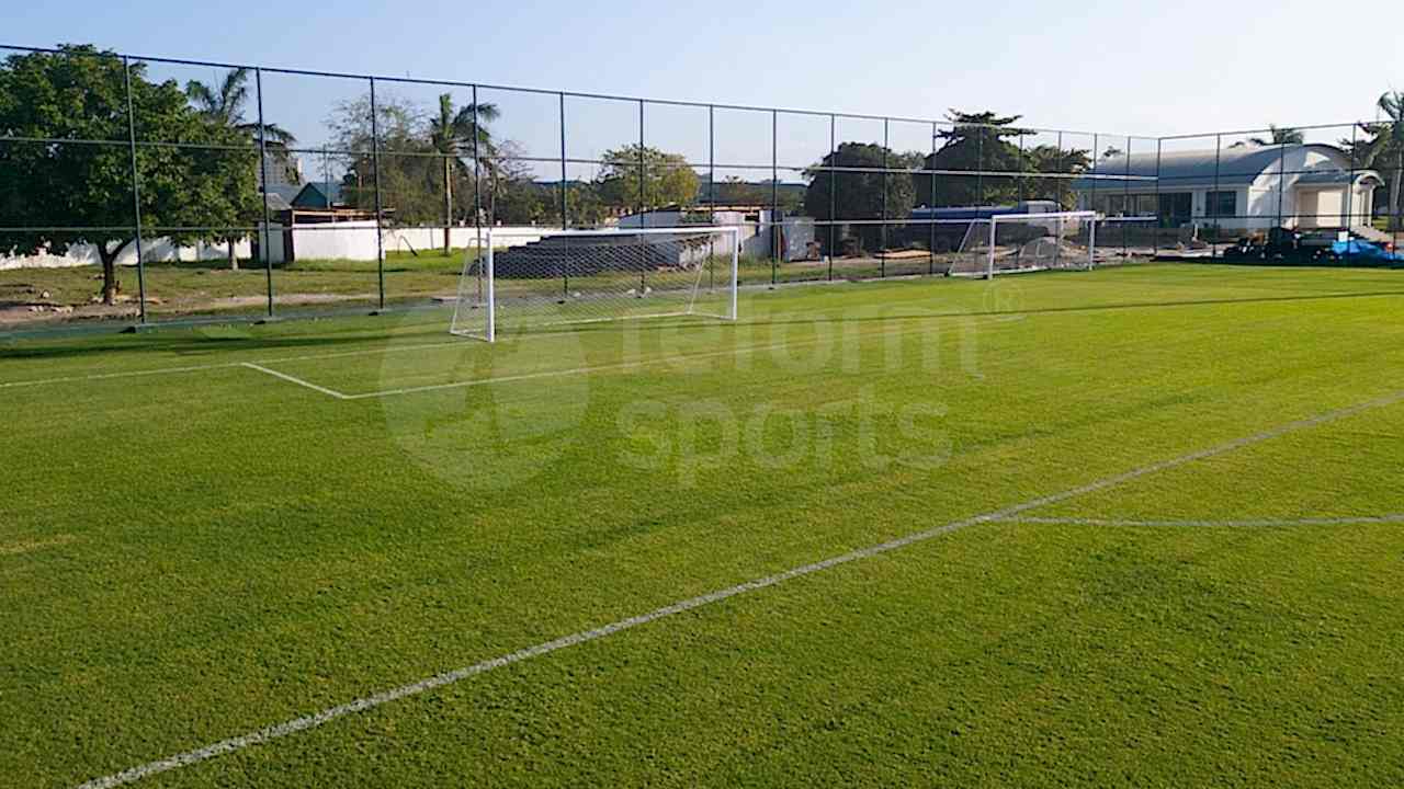 LAW SCHOOL S FOOTBALL FIELDS