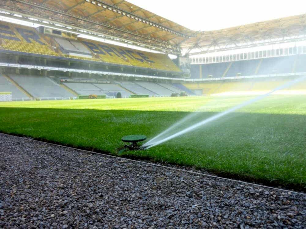 Natural Football Grass Field S Saracoglu